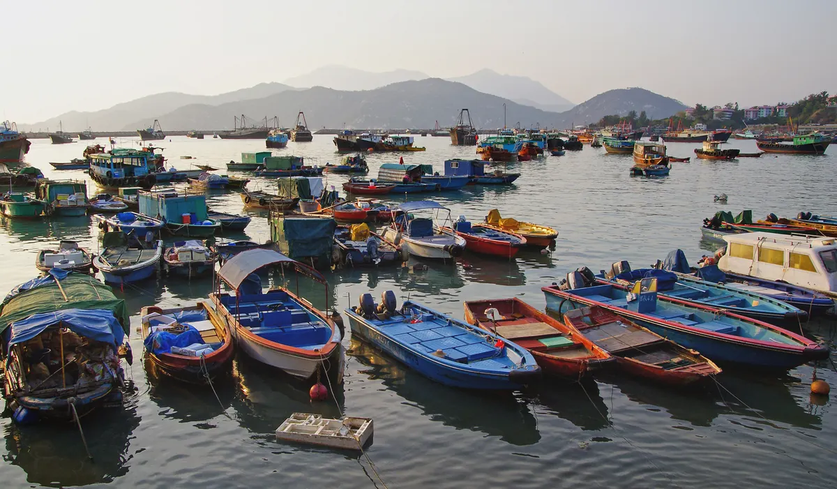 Small colourful fishing and sampan boats moored close together in Cheung Chau harbour in soft, warm light, with hazy hills behind.